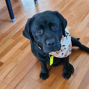 Meet your Posher, Linda